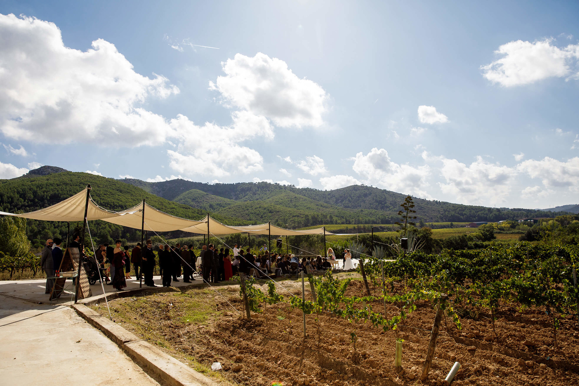 Vista general de la cerimònia entre vinyes a Masia Torreblanca.