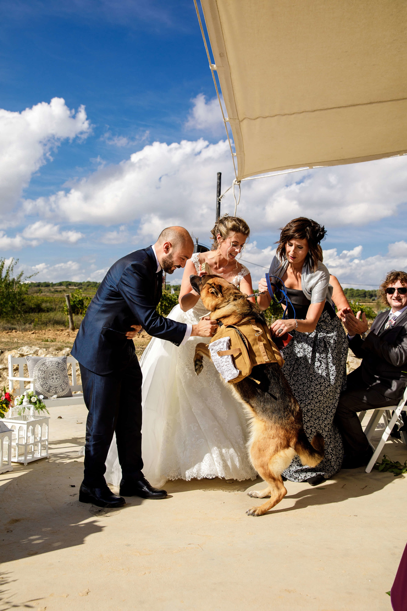 El perro trae los anillos de boda en Masia Torreblanca.