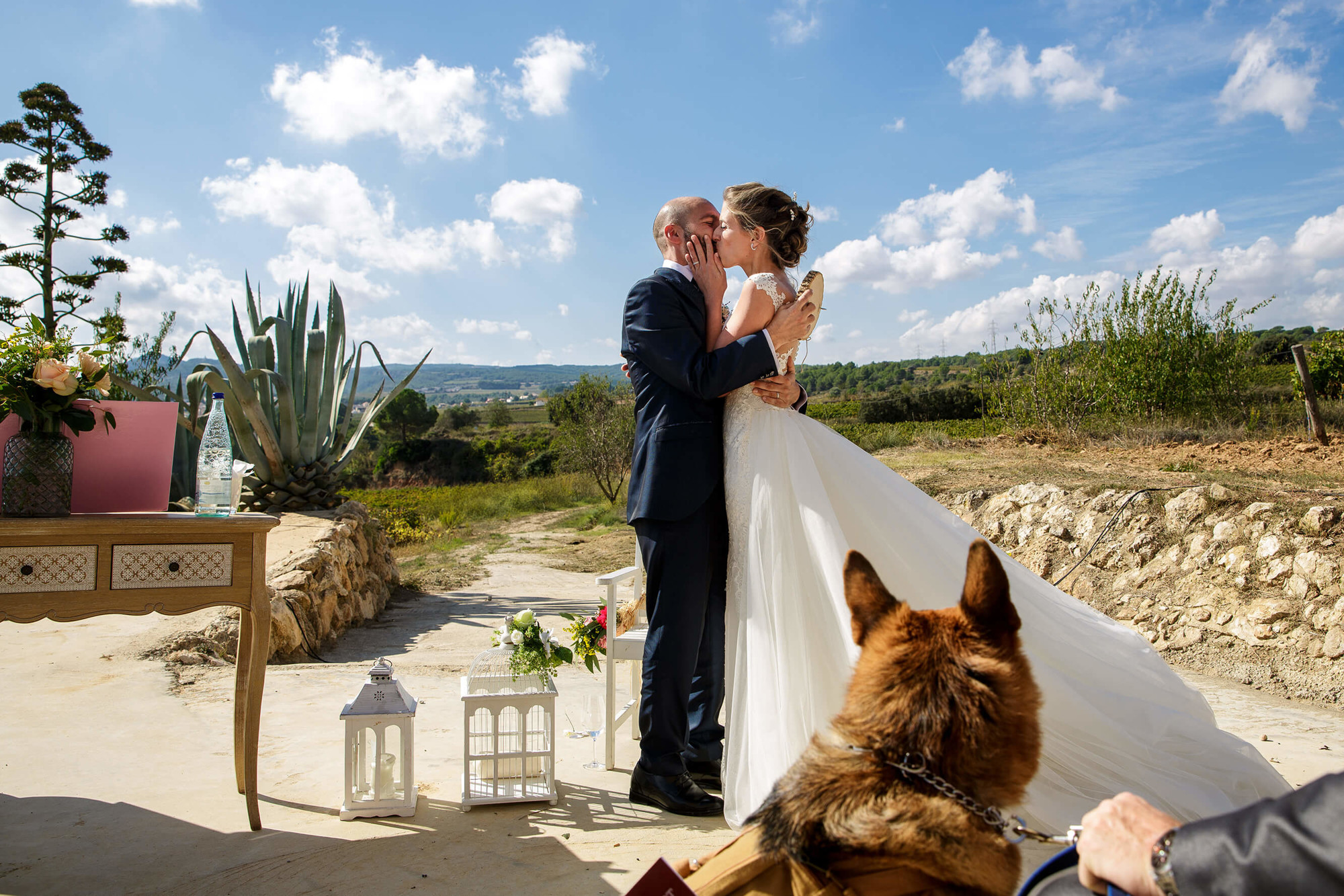 boda masia torreblanca 25 Primer petó dels nuvis amb la mirada del seu gos a les vinyes a Masia Torreblanca.