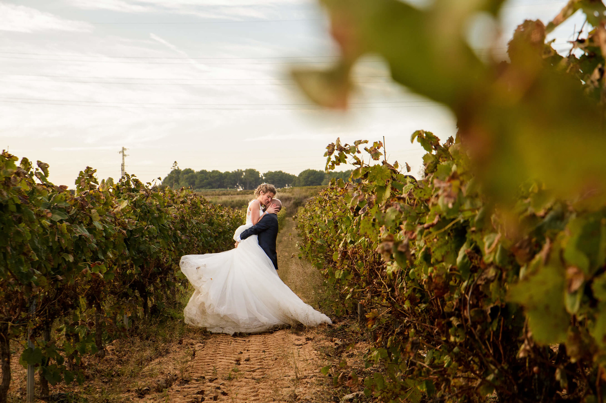 Fotografía de pareja en las vinyas tras la boda en Masia Torreblanca.