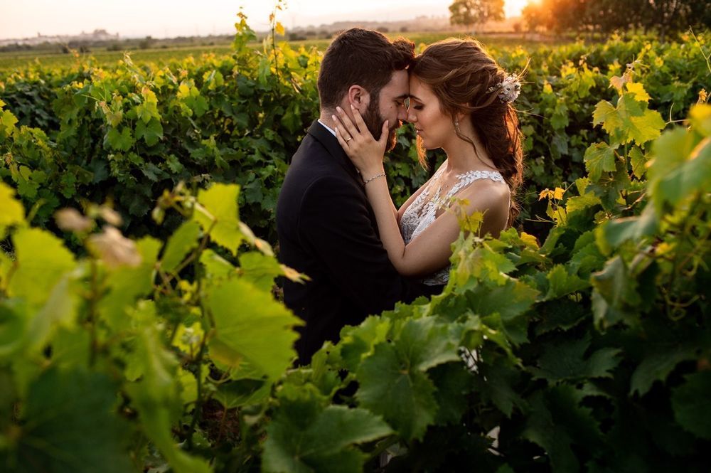 Los novios se abrazan en las viñas el día de la boda en Heretat Sabartés.