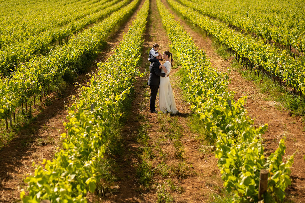 Los novios en las viñas de Masía Torreblanca el día de la boda.