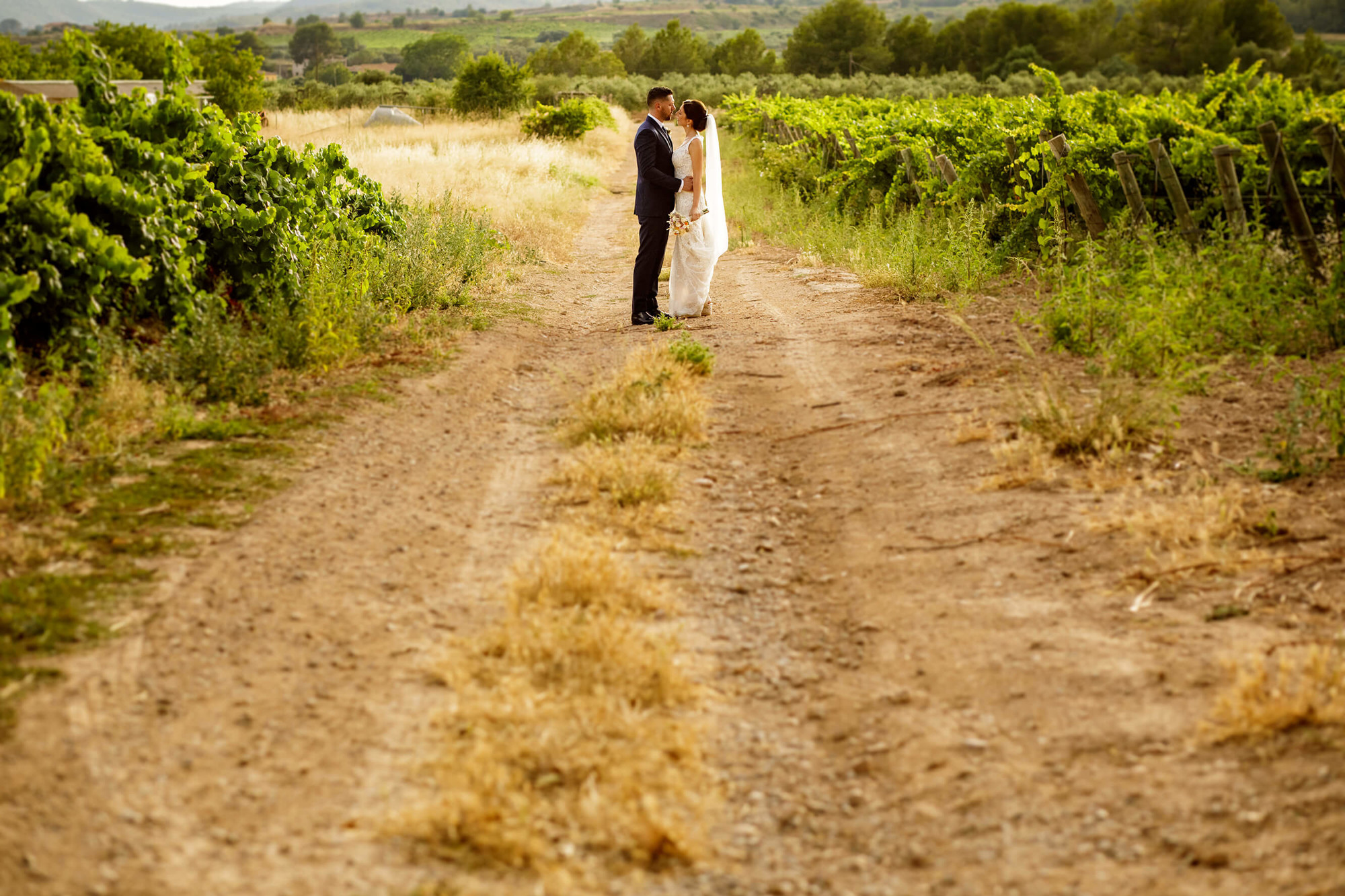 Los novios en las viñas en la boda en Joan Sardà.