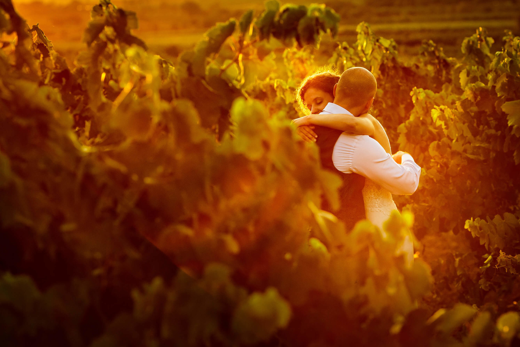 Los novios abrazados en la viña de Masia Papiol el día de la boda a la puesta de sol.