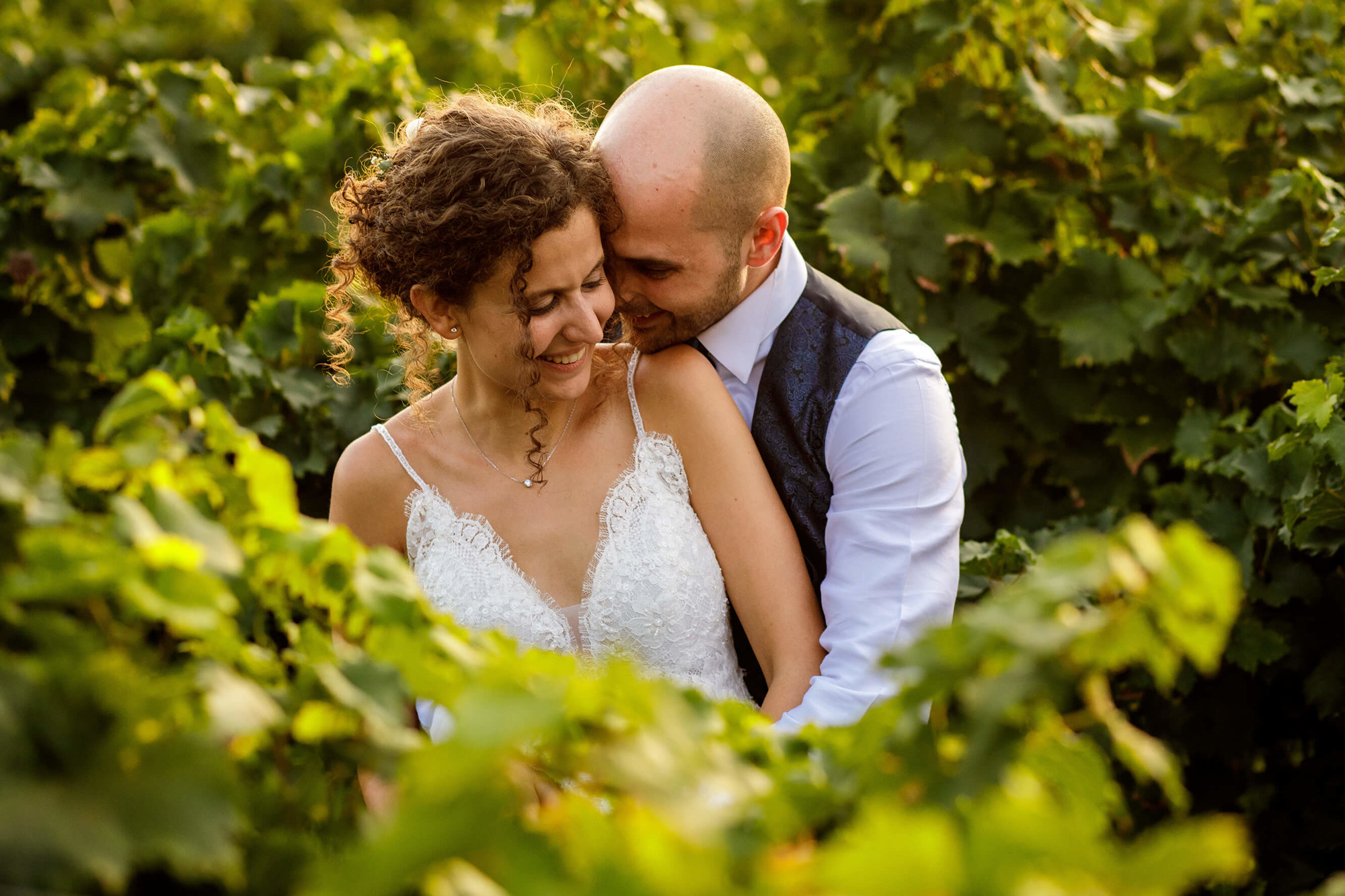 Los novios se abrazan entre las viñas del Penedés en la boda en Masia Papiol en l'Arboç.