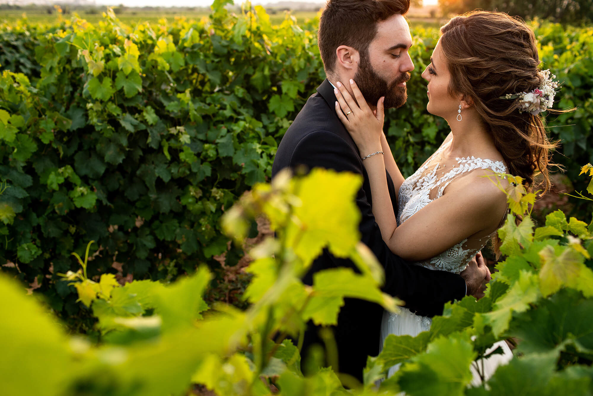 boda Heretat Sabartés vinyes Los novios se hacen sus fotos después de la boda en las viñas de Heretat Sabartés.