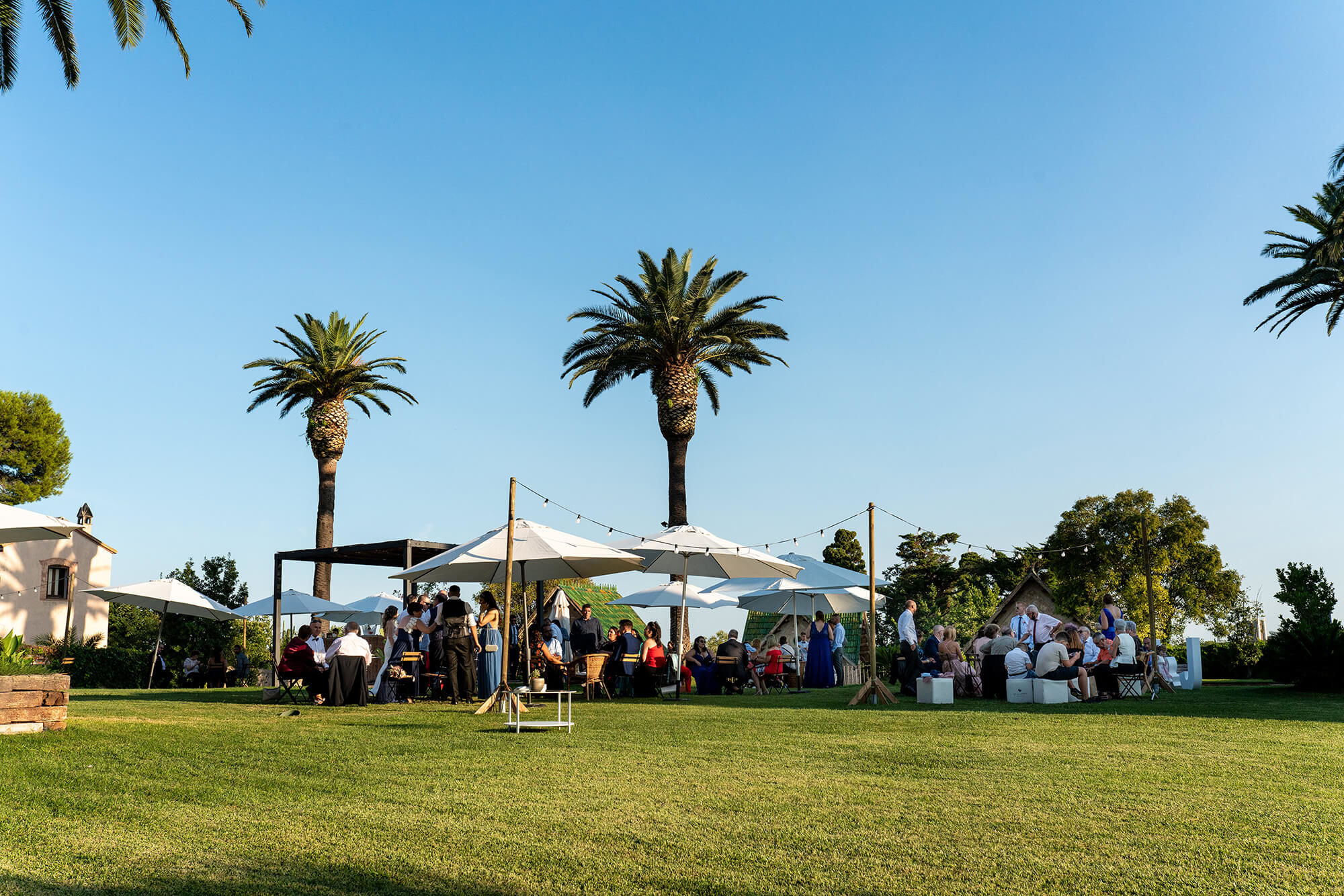 boda Heretat Sabartés jardins Aperitivo en el jardín entre palmeras en Heretat Sabartés.