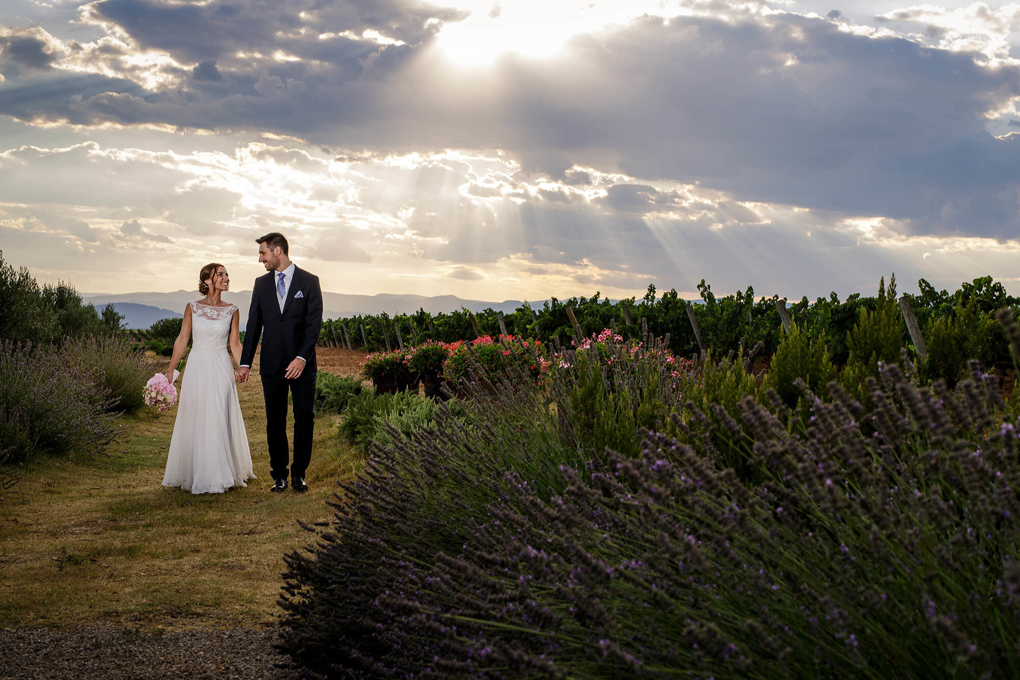 Los novios pasean por campos de lavanda al lado de la viña en la boda en la masía la Torre del Gall.